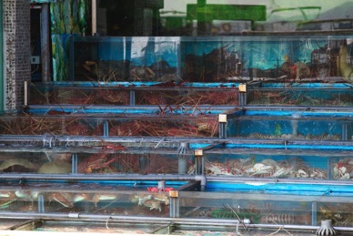 Sai_Kung_2013-01-06_12-08-16_IMG_4547_©MarkDorn