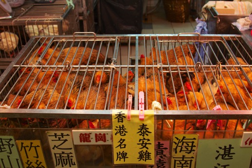 Tai_Po_2013-08-25_13-39-10_IMG_8832_&copy;MarkDorn